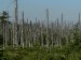 Replacements for CFCs Might Protect the Ozone Layer, but They Create Acid Rain