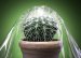 BASF Reaches Milestones with Modern Styrene-Butadiene (SB) Block Copolymers
