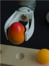 Compliant Systems - Materials that Change Shape and Bend without Needing Joints