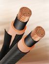 Arkema to Showcase Specialty Resin and Organic Ranges for Electric and Electronic Cabling