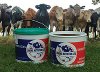 RPC Manufacture Pail Using Reprocessed Polypropylene