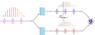 Optical Frequency Comb Used to Manipulate Quantum Bits