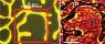 Graphene has Potential to Become The Superstar of the Electronics Industry