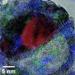 Size is Important in Determining Structure of Hollow Nanoparticles