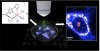 Raman Microscopy Helps Scientists Design Bioactive Metal Complexes for Cancer Treatment