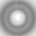 Researchers Photograph Atomic Movements During Photosynthesis