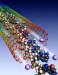 Weeding Out Nanotechnology Fact and Fiction and Creating Regulations