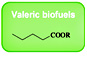 Valeric Biofuels - New Generation of Biofuels Based on Wood