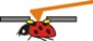 AFM being Used to Record Sounds from within Living Insects