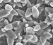 Major Advance in Heat Transfer and Cooling Technologies