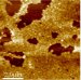 Simple Plastic Particles Custom Tailored to Fight Array of Troublesome "Antigens"