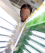 Research on Cyanobacteria--Source of Biofuels, Biomaterials