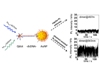 Scientists Enhance Photoluminescence by Bonding Quantum Dots with Gold Nanoparticles