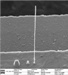 New Gas Injection System for the ORION Plus Helium Ion Microscope