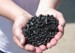 Biochar Produced from Organic Materials Can Offset Greenhouse Gases