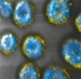 MIT Engineers Utilize Nanoparticles to Enhance Immune-Cell Therapy