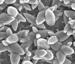 Researchers Advance Nanoscale Coating Application for High Tech Devices