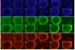 Researchers Develop New Synthetic Material for Human Stem-Cell Growth