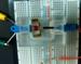 New Diagnostic Device Uses Nanoparticles for Detecting Diseases Quickly