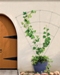 Feeney Unveils New Aluminum and Stainless Steel Wall Mount Trellises