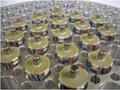 Noliac Bending Actuator Rings Could be the Key for New Giant Telescope Design