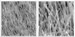 Nanotechnology Firm Fabricates SiNW Array-Based Solar Devices