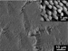 Researchers Develop New Classes of Alloys for Electronic Applications