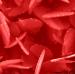 Study on Evolution of Nanoparticles