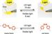 RIKEN Develops New Photoresponsive Polymer Film