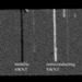 New Imaging Tool to Identify Metallic Nanotubes for Nanoelectronics