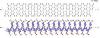 New Findings Unveils Response Properties of Polymeric O-phenylenes