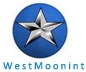New Westmoonint Site Launched for Synthetic Rubber Applications