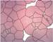 Silicon Solar Solutions Secures SBIR Grant to Advance Thin-Film Solar Cell Process