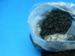 New Conductive Plastic Formulation for Electronic Toys