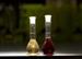BYU Chemists Confirm New Way of Energy Harvesting Through Color Change Experiment