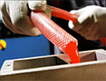 Dotmar Continues to Invest in Polyurethane Processing in Australia