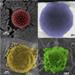 Researchers Develop Effective Method for Adding Nano-Based Armour to Polymer Vesicles