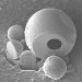 Bristol Scientists' New Tool Helps to Examine Nuclear Power Station Building Materials