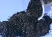 Siemens Launches Coconut Shell-Based AquaCarb 1240CAT Catalytic Carbon
