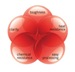Eastman Tritan Copolyesters for Renal Applications