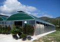 Extruded Corrugated Roofing for Commercial Buildings