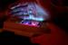 Michigan Researchers Develop New Organic Crystals for Lighting Applications