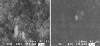 Glidewell Laboratories Produces Transparent Nanozirconia Crystals