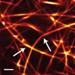 Microscopic Relaxation Becomes Source for Changes in Elastic Polymers' Properties