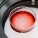 MIT Researchers Examine Behavior of Self-Oscillating Gels