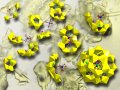 Recipes for Radioactive Compounds Helps Develop a Better Understanding