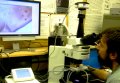 Linkam High Temperature Stage Used to Study Silicate Melt Inclusions