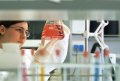 Composite Technical Services Introduce New Class of Polyols