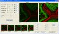 New Software for Olympus Confocal Laser Scanning Microscopes