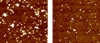 NIST Researchers Develop New Method to Study  Nanoparticle Toxicity